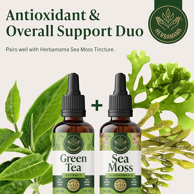 HERBAMAMA Green Tea Extract Drops - Vegan Antioxidant &amp Overall Support with Camellia Sinensis Extract Tincture - Non-GMO Alcohol &amp Sugar-Free Natural Green Tea Supplements 42-Day Supply