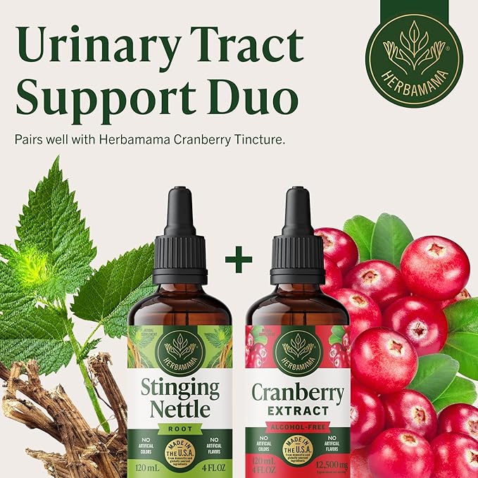 HERBAMAMA Stinging Nettle Tincture - Vegan Urinary Tract Support with Stinging Nettle Root Extract - Non-GMO Alcohol &amp Sugar-Free Urtica Dioica Supplement - 84-Day Supply