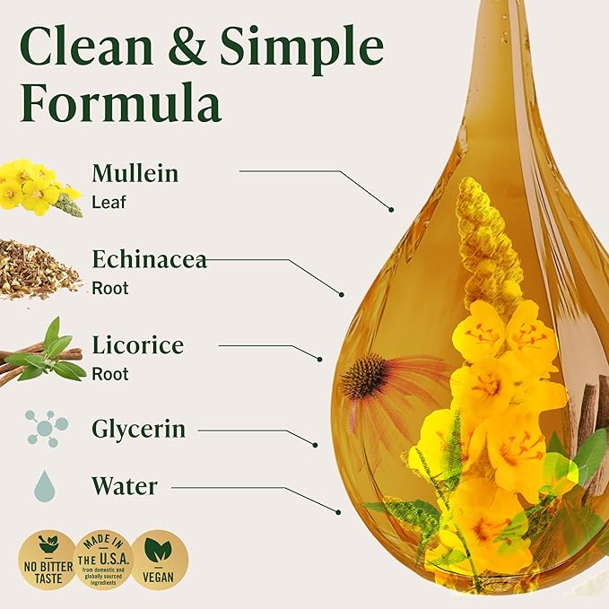 HERBAMAMA Mullein Drops for Lungs - Vegan Lung Cleanse with Mullein Leaf Extract Echinacea Tincture &amp Licorice - Non-GMO Alcohol &amp Sugar-Free Respiratory Support Supplement - 28-Day Supply