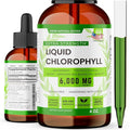 Super Natural Goods Liquid Chlorophyll Drops 60 Servings for Daily Wellness – Plant-Based Chlorophyll Liquid Supplement Vegan &amp Non-GMO Easy-Mix Drops for Water or Juice – 4oz Dropper Bottle 600