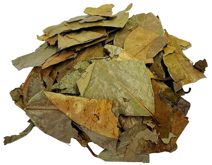 Soursop Leaves Hojas de Guanabana Herbal Tea Value Pack (105g)
