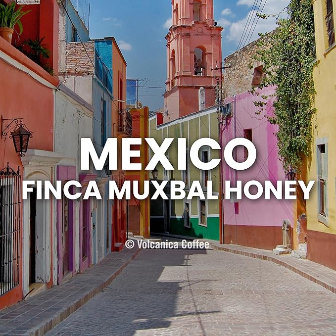 Mexico Honey Coffee Finca Muxbal Honey Process Whole Bean Fresh Roasted 16-ounce