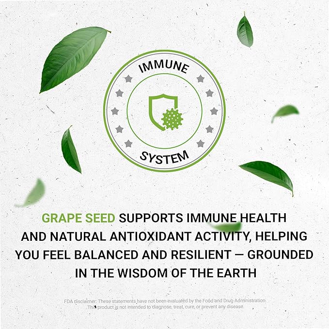 Secrets of the Tribe Grape Seed Tincture Alcohol-Free Liquid Extract Grape (Vitis Vinifera) Dried Seed (2 FL OZ)