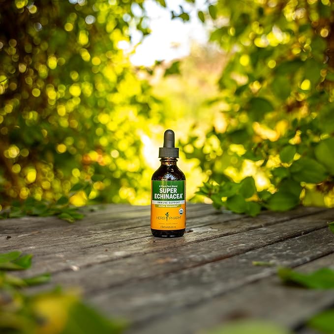 Herb Pharm Super Echinacea® Liquid Extract: USDA Organic Immune Support for Year-Round | Fast-Absorbing Echinacea Tincture 4 Plant-Part Blend: Root Leaf Flower &amp Seed | Up to ~6 Week Supply 2