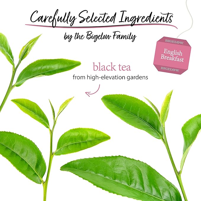 Bigelow Tea English Breakfast Black Tea Caffeinated Tea 20 Count Box (Pack of 6) 120 Total Tea Bags