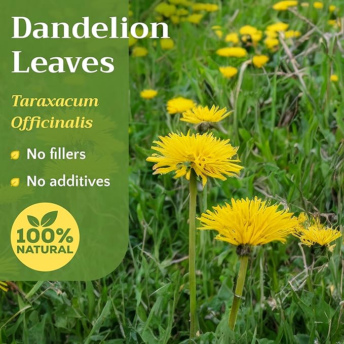 Natural Dandelion Leaf Herb Tea - Cut and Sifted Dried Leaves - Loose Herbal Bulk 1lb (16 oz)