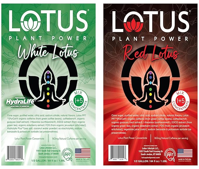 Lotus Energy Drink Concentrate 64 fl oz (White &amp Pink) Pack of 2