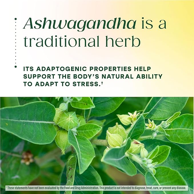 MegaFood Zero Sugar Ashwagandha Gummies - with Clinically Studied Ashwagandha KSM 66 - Cortisol Reducer &amp Stress Support - Mixed Berry Flavor No Gelatin Vegan - 60 Gummy Vitamins 30 Servings