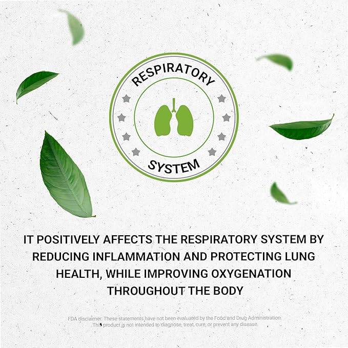 Secrets of the Tribe OSHA Alcohol-Free Liquid Extract Responsibly farmed OSHA (Ligusticum porteri) Dried Root 4 FL OZ