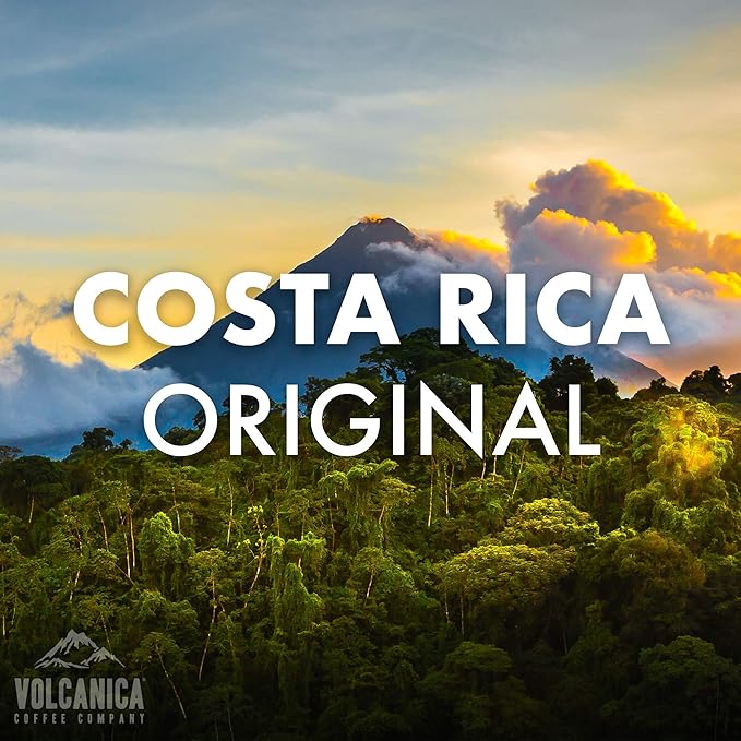 Costa Rica Coffee Beans Tarrazu Original Ground Medium Roast Fair Trade Fresh Roasted 5 lbs