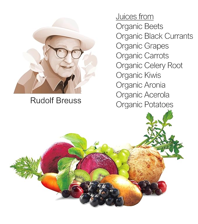 Biotta Organic Breuss Balance Juice - 100% Vegetable Juice for Energy Immunity &amp Wellness - Excellent Source of Nutrients - All Natural Non-GMO Gluten-Free (16.9 Fl Oz Pack of 6)