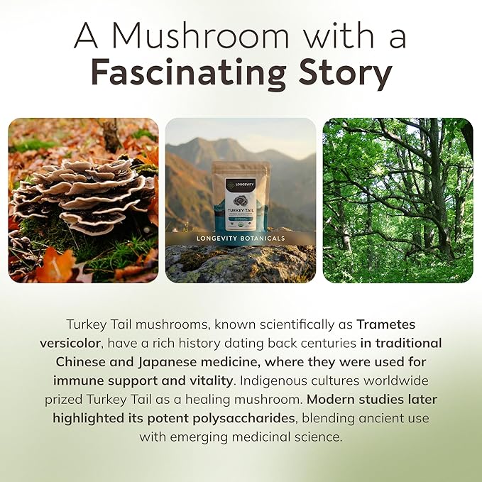 Organic Turkey Tail Mushroom Powder Supplement 10:1 Extract 100g | Trametes Versicolor 100% Fruiting Body | ≥30% Beta-D-Glucans | 60 Servings of 1660mg | Immune Gut &amp Digestive Wellness Support