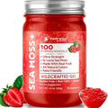 Sea Moss Gel - Wildcrafted Seamoss Gel Superfood - Strawberry Flavor USA-made Irish Sea Moss Vitamin and Mineral-Rich from Pristine Caribbean Waters Immune and Digestive Health Support - 10 oz.