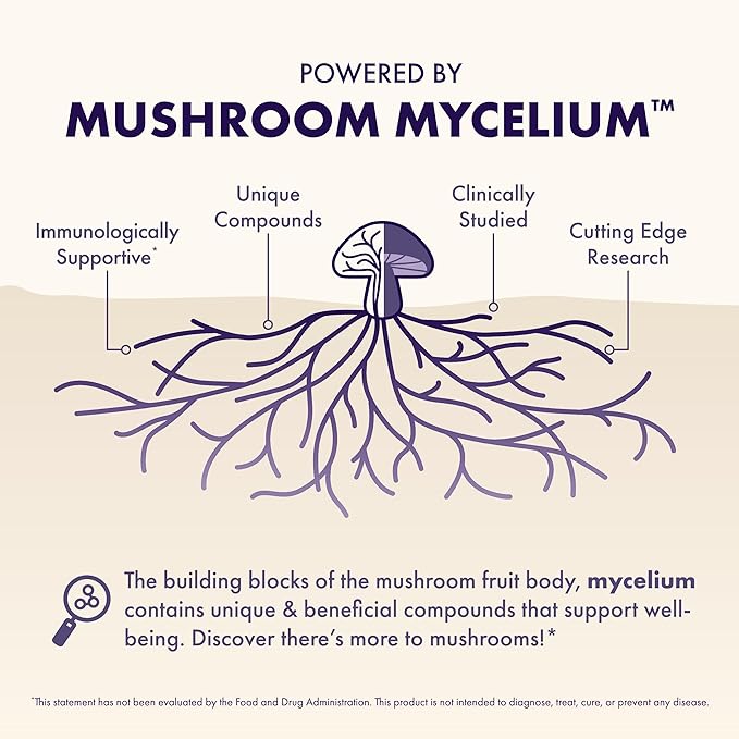 Host Defense MycoBenefits Focus Capsules - Mushroom Supplement for Brain Health Support - Neurological Function Aid for Adults - Includes Lion's Mane Reishi &amp B Vitamins - 60 Capsules (30 Serving