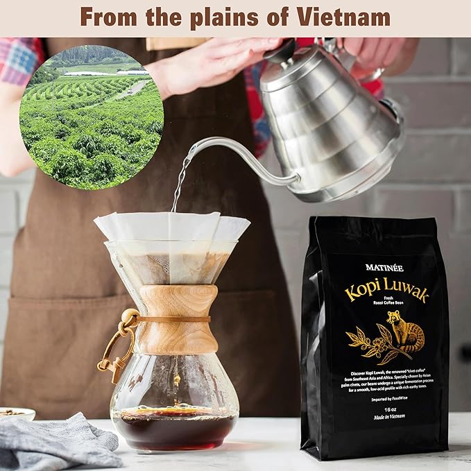 MATINÉE Wild Kopi Luwak Coffee Beans Medium Roast Whole Bean Coffee Sustainably Sourced From Vietnam 16oz / 454 Grams