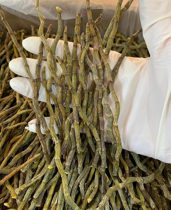 Dendrobium Stems（Tie Pi Shi Hu） Dried Dendrobium Officinale Stems -7.05oz/200g-Pure Natural Chinese Herbal Medicine -石斛条- Teas-Soup Ingredients (Dendrobium Stems) ﻿