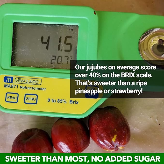 USDA Organic California Grown Pure Jujube Tea Concentrate | JUJUME Elixir | ZERO Added Sugar Color or Preservatives | All-Natural GMO-Free | Add Water for Jujube Tea | 24-pack 4 oz. pouches
