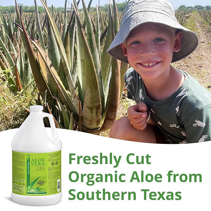 Seven Minerals Organic Aloe Vera Gel from freshly cut 100% Pure Aloe - 1 Gallon - HighestQuality Texas grown Vegan Unscented - For Face Skin Hair Sunburn Relief - Bulk DIY (128 Fl Oz)