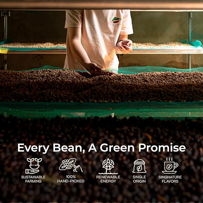 Conihat Whole Bean Coffee - 100% Vietnamese Premium Fine Robusta Medium Roast Chocolate &amp Woody Notes Long Aftertaste Low Acid Single Origin Hand-Picked 12 Oz Bag
