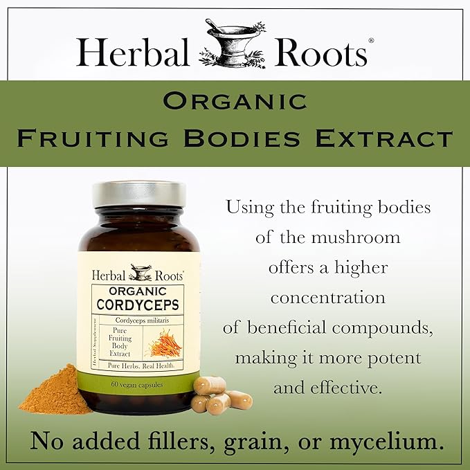 Herbal Roots Organic Cordyceps - Fruiting Body Extract Mushroom Capsules - Immune &amp Energy Support - 60 Vegan Capsules
