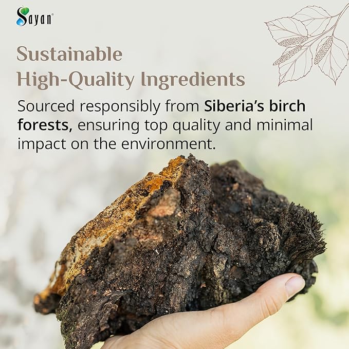 Sayan Siberian Pure Raw Chaga Mushroom Chunks with Black Top Crust 35.2 Oz/ 2.2 lb – Premium Wild-Harvested Antioxidant Tea for Immune Support Focus and Digestive Health - Non-GMO
