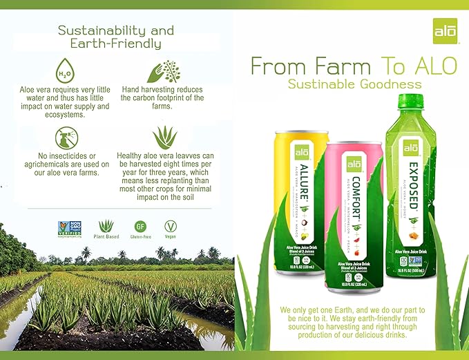 ALO Drink |ALO Allure Aloe Vera Juice Drink | Mango &amp Mangosteen Flavor | 12 Pack | 10.8 FL OZ (320mL) Cans