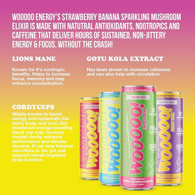 Wooooo! Energy Ric Flair Sparkling Adaptogenic Mushroom Energy Drink | Natural Antioxidants &amp Nootropics | Lion’s Mane &amp Cordyceps | 150mg Caffeine | 12 Pack (Variety Pack)