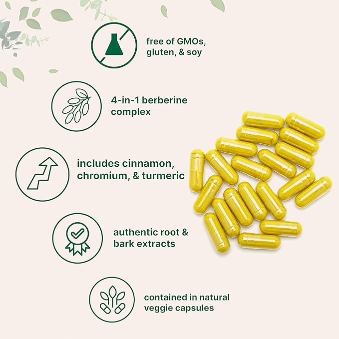 Micro Ingredients Berberine 500mg with Ceylon Cinnamon 240 Veggie Capsules | High Absorption Berberine HCI Supplement + Turmeric Root &amp Cinnamon Bark Extract | Non-GMO Gluten Free