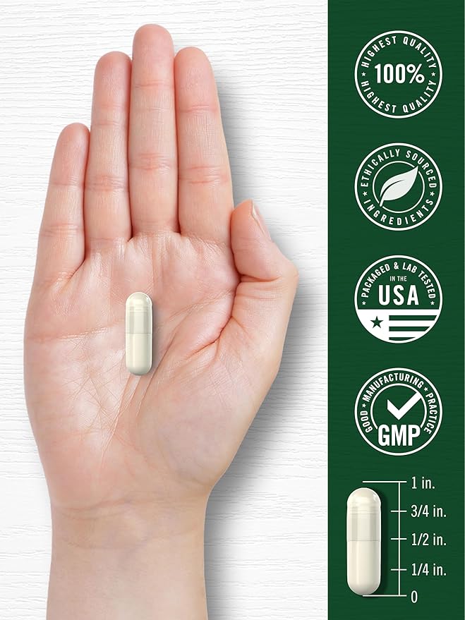 Carlyle Sulforaphane Supplement | 400 mcg | from Broccoli Seed Extract | 180 Capsules | Traditional Herbal Supplement | Non-GMO and Gluten Free Formula