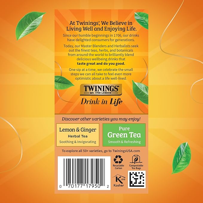 Twinings Orange &amp Cinnamon Spice Herbal Tea Individually Wrapped Bags 20 Count (Pack of 6) Naturally Caffeine-Free Enjoy Hot or Iced 120 Teabags