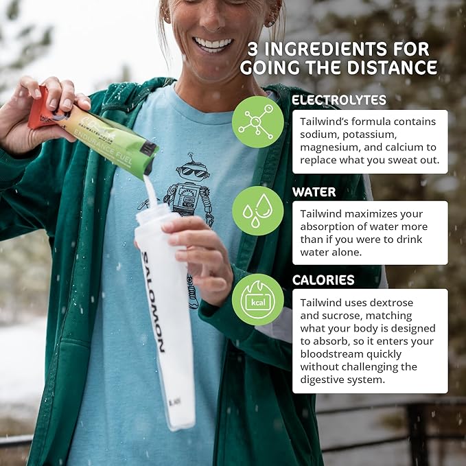 Tailwind Nutrition Endurance Fuel Grab-and-Go Sports Drink Powder Mix with Electrolytes Non-GMO Free of Soy Dairy and Gluten Vegan-Friendly Dauwaltermelon Pack of 12