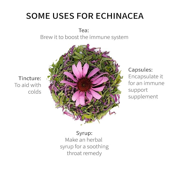 Echinacea Purpurea Whole Herb for Tea &amp Traditional Herbal Preparations | Loose-Leaf Cut &amp Sifted | 99 Servings | 7 oz | Sacred Blossom Farm | Wisconsin-Grown Single Source