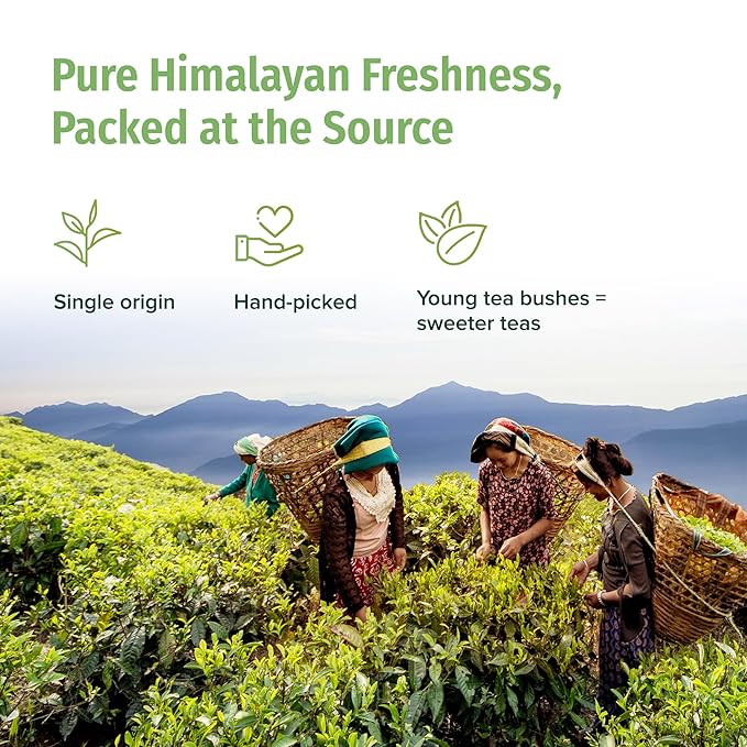 NEPAL TEA Organic Green Tea Bags from the Himalayas - 50 Pyramid Tea Bags Single Origin from a Family Farm - Green Tea Bags with Loose Leaf Tea Inside (Himalayan Mist)
