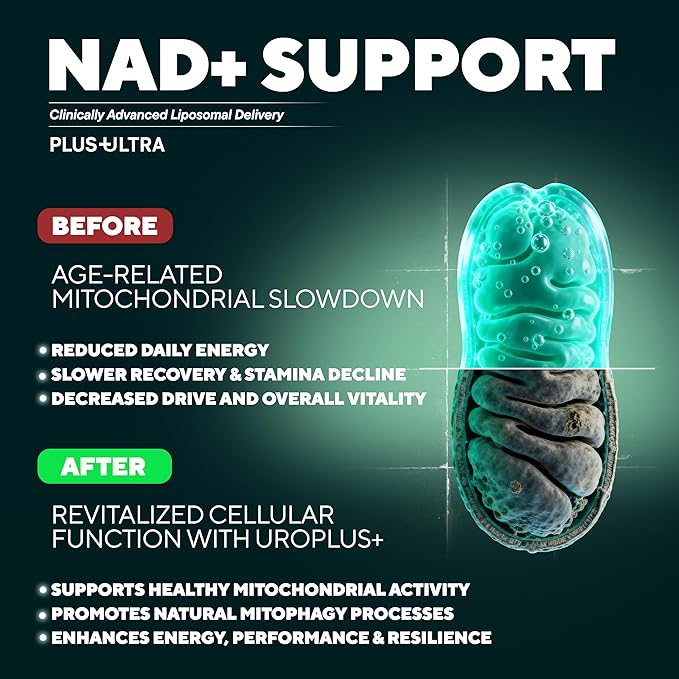 Plus+Ultra Urolithin A 1250mg + NAD+ Longevity Supplement | Clinically Studied Ingredients to Support Cellular Energy Muscle Recovery &amp Anti-Aging | Liposomal 10-in-1 with NR &amp Resveratrol