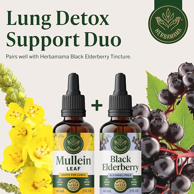HERBAMAMA Mullein Drops for Lungs - Vegan Lung Cleanse with Mullein Leaf Extract Echinacea Tincture &amp Licorice - Non-GMO Alcohol &amp Sugar-Free Respiratory Support Supplement - 28-Day Supply