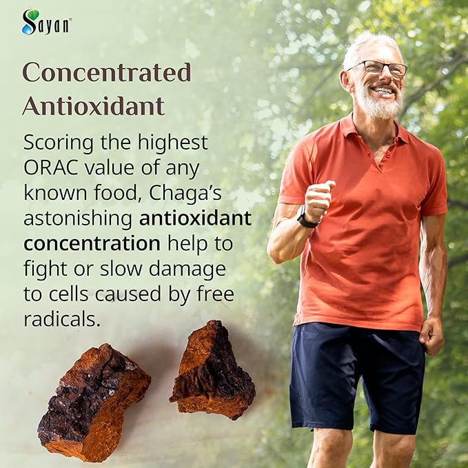 Sayan Siberian Pure Raw Chaga Mushroom Chunks with Black Top Crust 35.2 Oz/ 2.2 lb – Premium Wild-Harvested Antioxidant Tea for Immune Support Focus and Digestive Health - Non-GMO