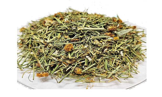 HealinGifts Cota Navajo Tea Indian Tea Greenthread Thelesperma Yabanah 4 ounces. Wildcrafted from North Central New Mexico.