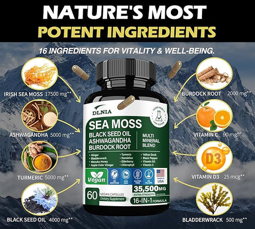 16-in-1 Organic Sea Moss Gel Alternative Capsules – Superfood Blend with Ashwagandha Black Seed Oil Turmeric Bladderwrack Burdock Elderberry Manuka Dandelion Yellow Dock Vitamin C &amp D3