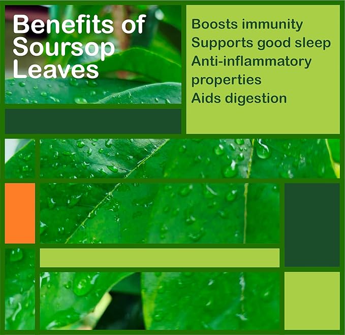 Frutos Pachamama | Organic Soursop Leaves Tea – 100% Pure Dried Guanabana Leaf Sun-Dried &amp Hand-Selected for Freshness | Supports Immunity Relaxation &amp Digestion | 3 oz (85 g)