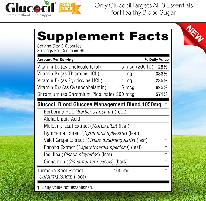 Glucocil – Vegetarian Capsules - Premium Blood Sugar Support - Supports the 3 Essentials for Healthy Blood Sugar - with Berberine Proprietary Mulberry Leaf and More