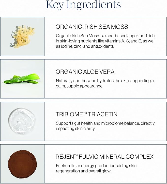 CYMBIOTIKA Irish Sea Moss Supplement Organic Wildcrafted Sea Moss with Aloe Vera Fulvic Minerals Postbiotics Gut Immune Skin Support Liquid Travel Packet 26 Servings (Single Pack)