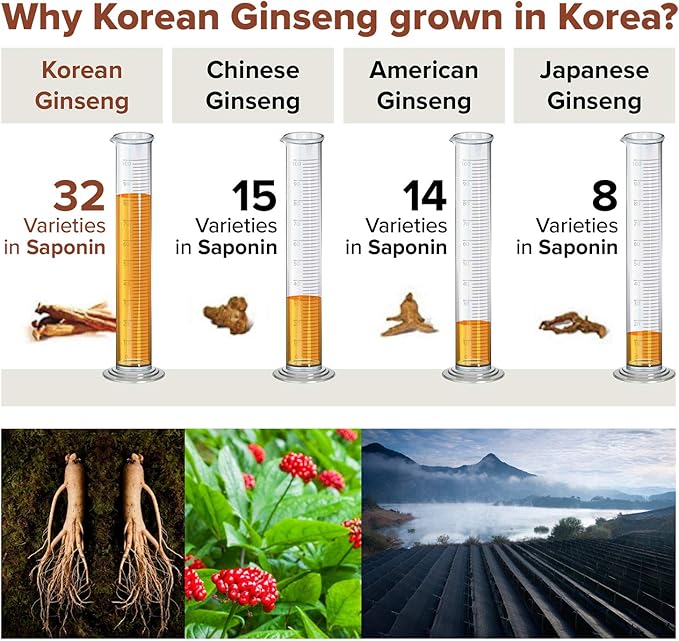Saponin Hanppuri Everyday Korean Red Panax Ginseng Extract Stick - 3000mg High Potency Liquid Supplement - Caffeine Free Energy &amp Immune Support - 30 Packets