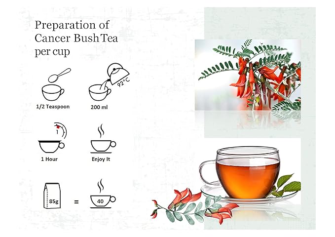 BIRGIT'S Cancer Bush Tea (Sutherlandia Frutescens)