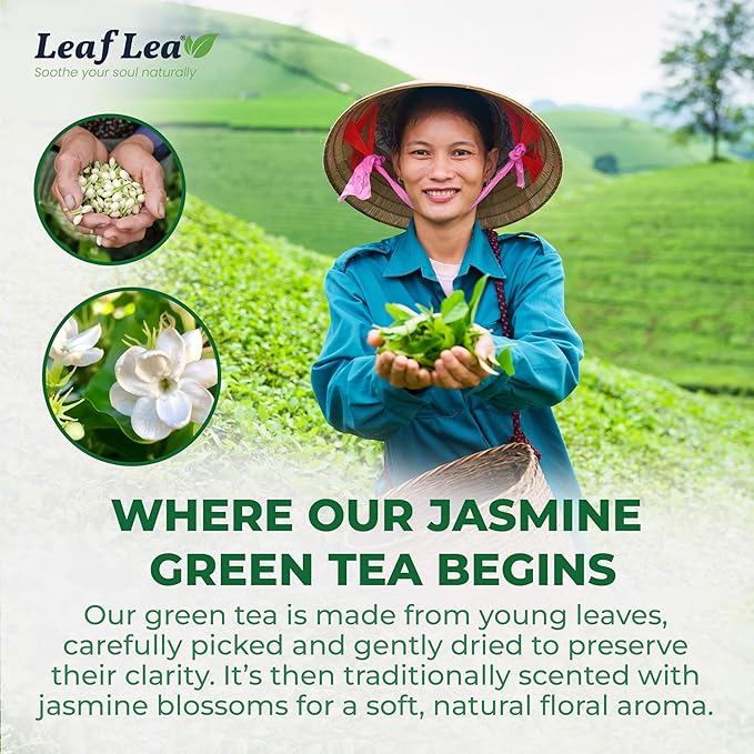 LeafLea 80 Jasmine Green Tea Bags Green Tea with Natural Jasmine Aroma Light Focus &amp Daily Balance Delicate Floral and Smooth Taste Caffeinated Sugar-Free Non-GMO Vegan Individually Wrappe