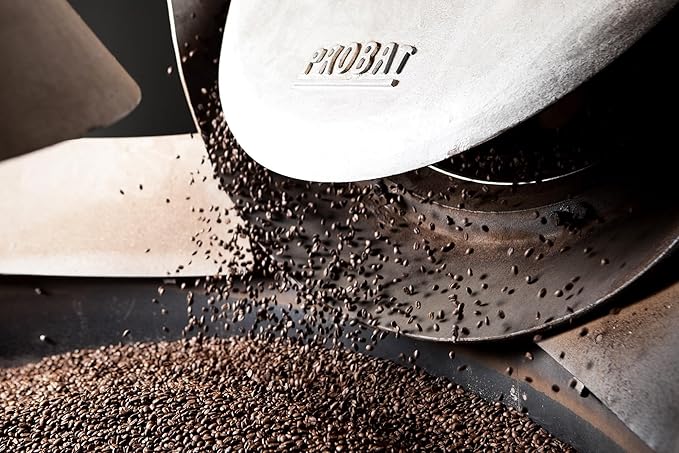 Italian Espresso Coffee Beans – Dark Roast Grani d'Oriente Pavin Caffè 1kg