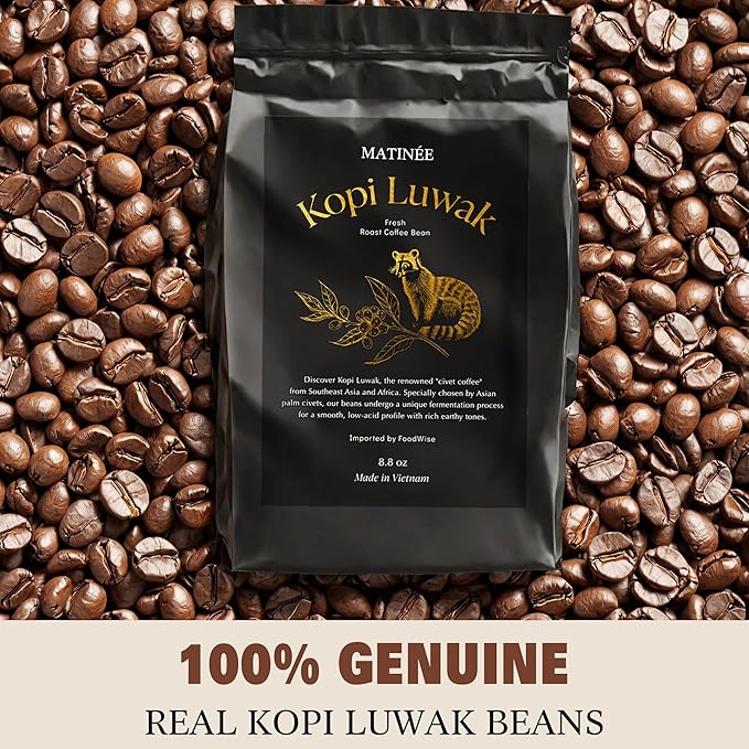 MATINÉE Wild Kopi Luwak Coffee Beans Medium Roast Whole Bean Beans Civet Coffee - Sustainably Sourced From Vietnam 8.8oz / 250 Grams