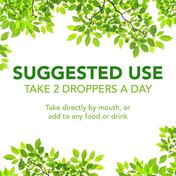Super Natural Goods Liquid Chlorophyll Drops 60 Servings for Daily Wellness – Plant-Based Chlorophyll Liquid Supplement Vegan &amp Non-GMO Easy-Mix Drops for Water or Juice – 4oz Dropper Bottle 600