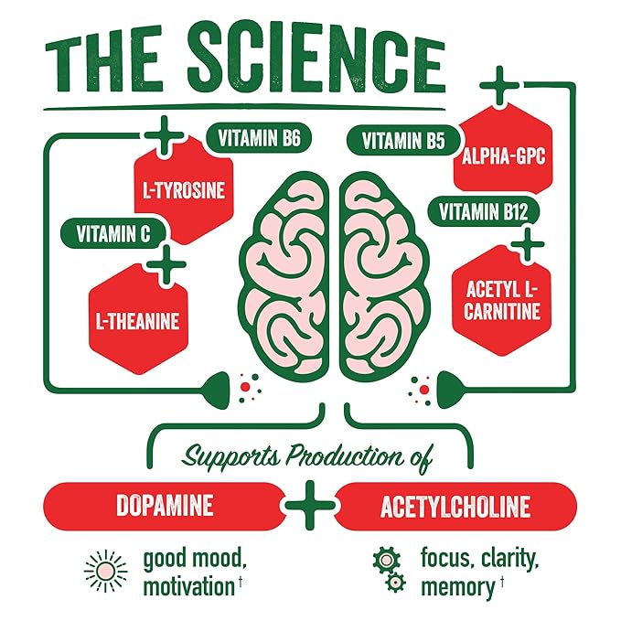 Brainjuice Brain Health Support Drink for Energy &amp Focus Vitamin C B5 B6 &amp B12 L Theanine Alpha GPC CoQ10 &amp Green Tea Caffeine Gluten Free Vegan Blood Orange Jalapeno 12 Oz Can