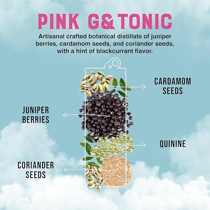 CLEVER - Pink G &amp Tonic Nonalcoholic Mocktails for Any Occasion Refreshing Beverages Inspired by Gin &amp Tonic Low-Calorie Mocktails Non-alcoholic Drinks with 80 Calories Pack of 12 (12 oz E