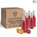 Galvanina Tangerine &amp Prickly Pear – Premium Organic Italian Sparkling Soda 12 fl oz (6 Glass Bottles) | Vibrant Tangerine with Subtle Cactus Sweetness Crafted for Cocktails &amp Refreshing Mom
